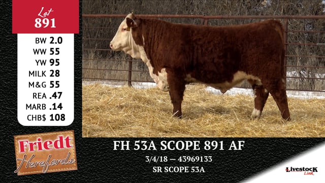 Lot #891 - FH 53A SCOPE 891 AF