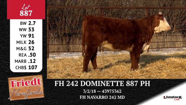 Lot #887 - FH 242 DOMINETTE 887 PH
