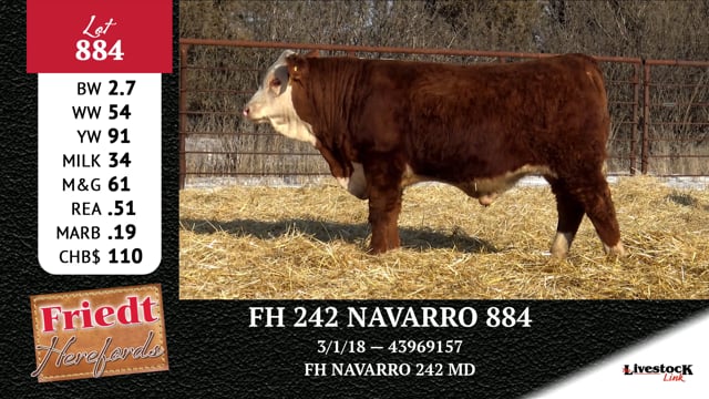 Lot #884 - FH 242 NAVARRO 884