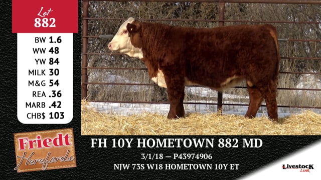 Lot #882 - FH 10Y HOMETOWN 882 MD