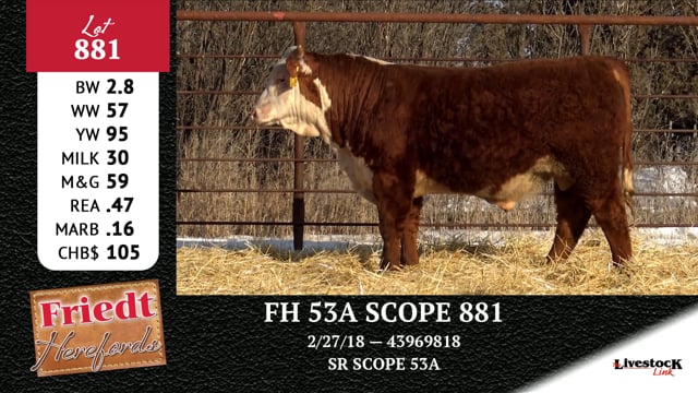 Lot #881 - FH 53A SCOPE 881
