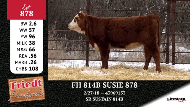 Lot #878 - FH 814B SUSIE 878