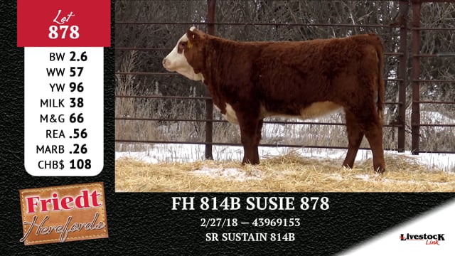 Lot #878 - FH 814B SUSIE 878