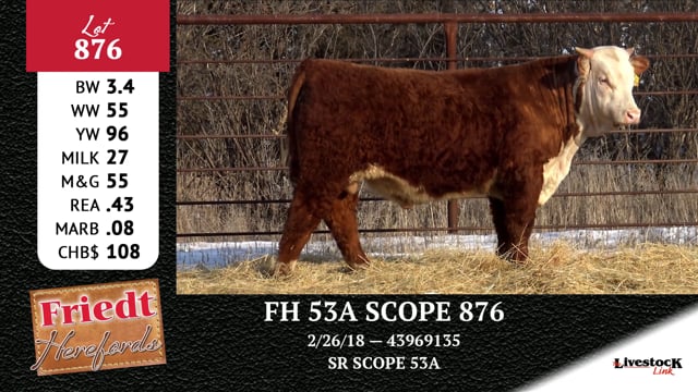 Lot #876 - FH 53A SCOPE 876