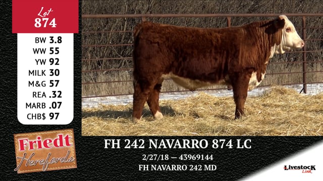 Lot #874 - FH 242 NAVARRO 874 LC