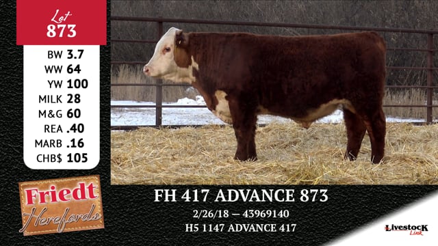 Lot #873 - FH 417 ADVANCE 873