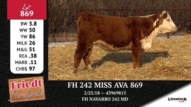 Lot #869 - FH 242 MISS AVA 869