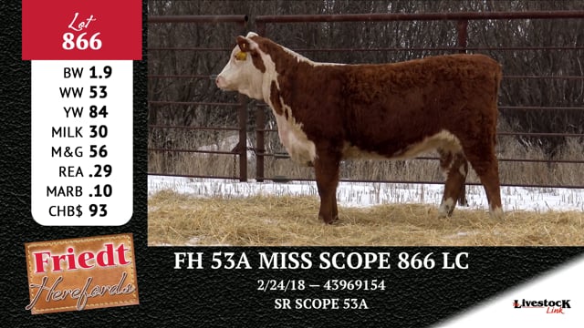 Lot #866 - FH 53A MISS SCOPE 866 LC