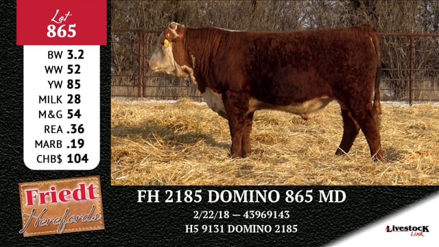 Lot #865 - FH 2185 DOMINO 865 MD