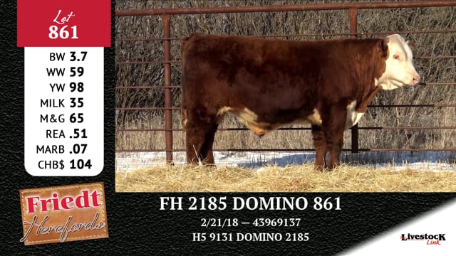 Lot #861 - FH 2185 DOMINO 861