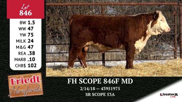 Lot #846 - FH SCOPE 846F MD