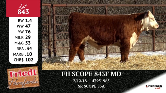 Lot #843 - FH SCOPE 843F MD