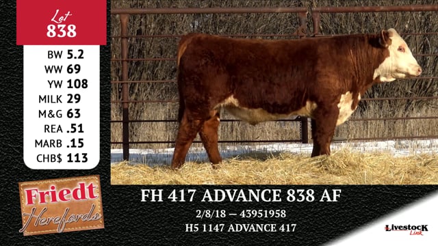 Lot #838 - FH 417 ADVANCE 838 AF