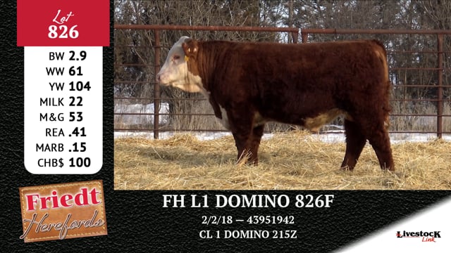 Lot #826 - FH L1 DOMINO 826F