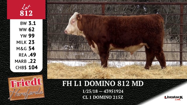 Lot #812 - FH L1 DOMINO 812 MD
