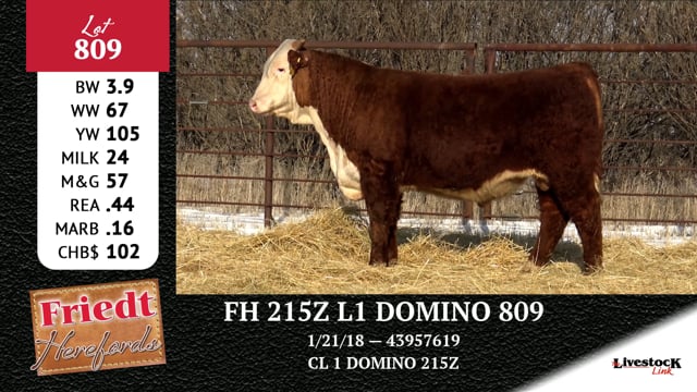 Lot #809 - FH 215Z L1 DOMINO 809