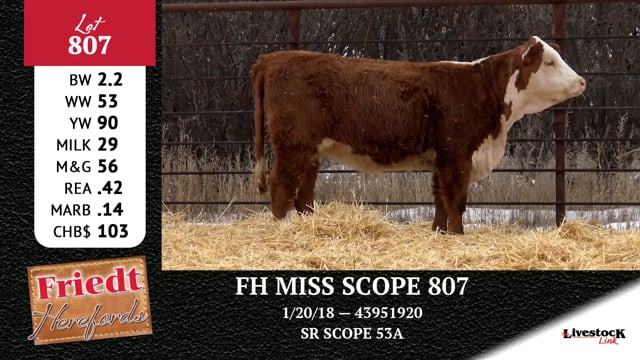 Lot #807 - FH MISS SCOPE 807