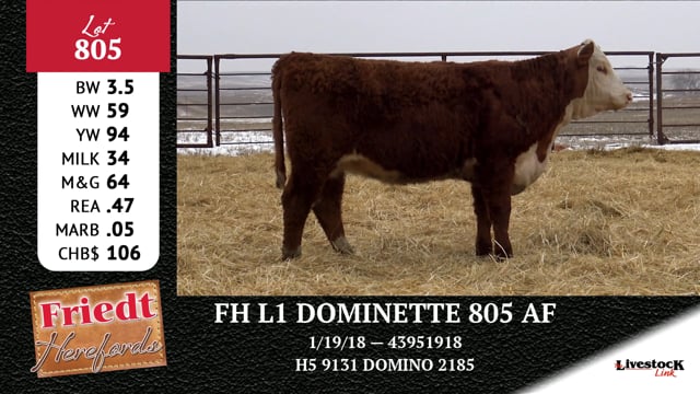 Lot #805 - FH L1 DOMINETTE 805 AF