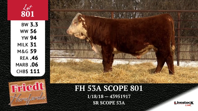 Lot #801 - FH 53A SCOPE 801