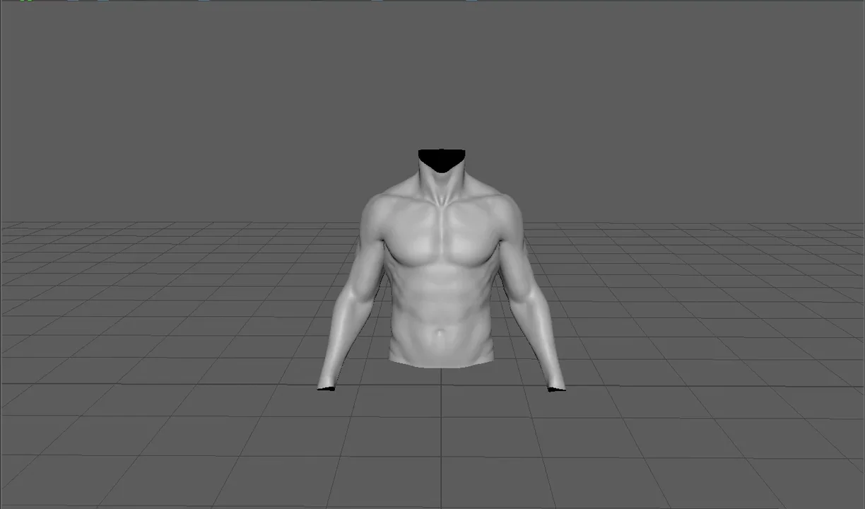 Shot Sculpt Torso Anatomy Test
