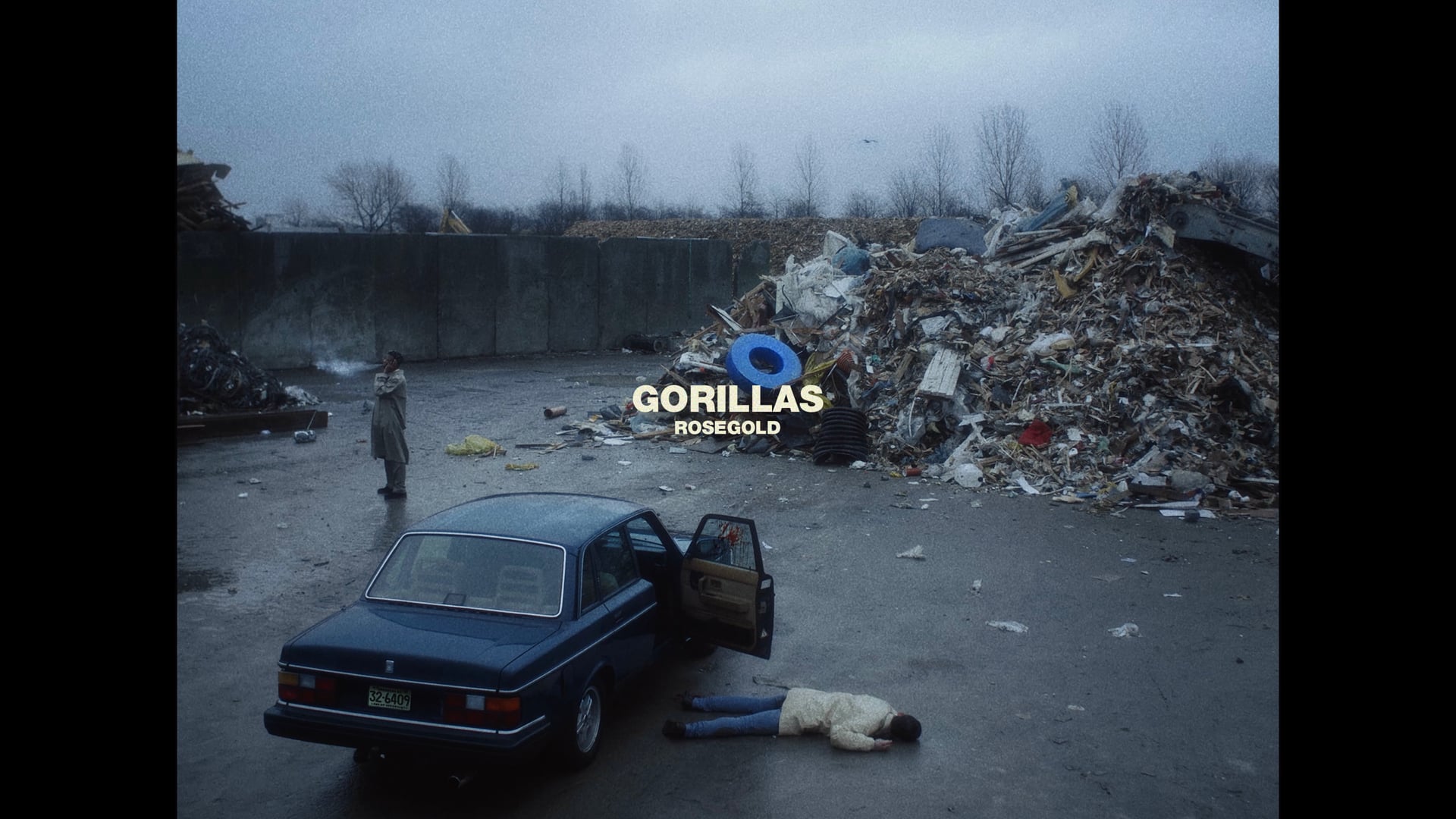 GORILLAS