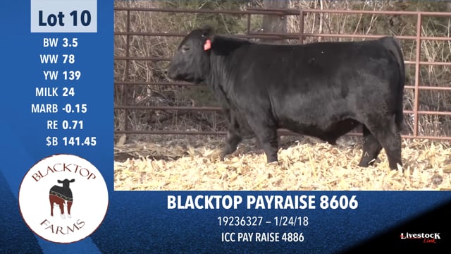 Lot #10 - BLACKTOP PAYRAISE 8606