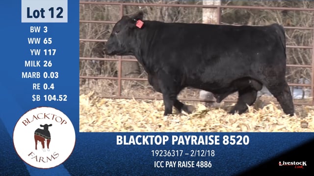 Lot #12 - BLACKTOP PAYRAISE 8520
