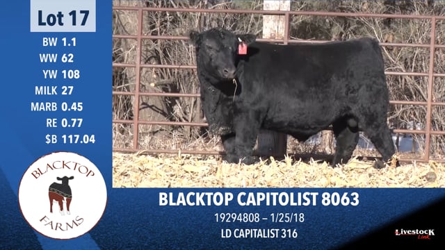 Lot #17 - BLACKTOP CAPITOLIST 8063