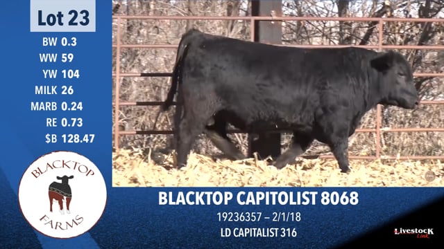 Lot #23 - BLACKTOP CAPITOLIST 8068