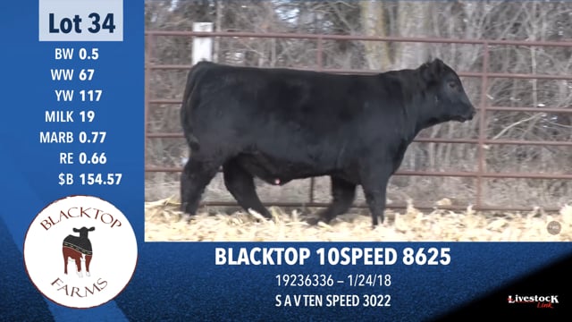 Lot #34 - BLACKTOP 10SPEED 8625