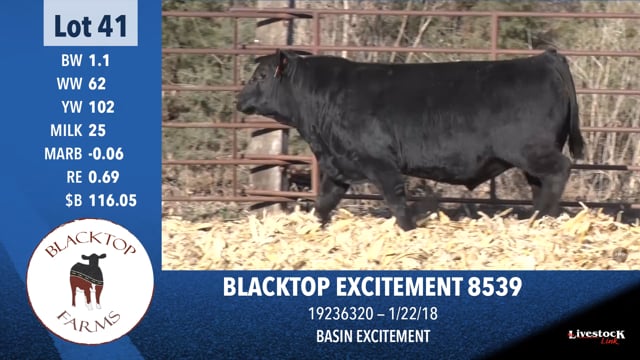 Lot #41 - BLACKTOP EXCITEMENT 8539