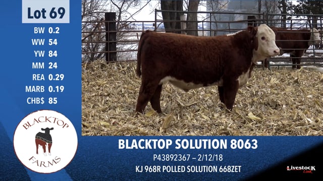Lot #69 - BLACKTOP SOLUTION 8063