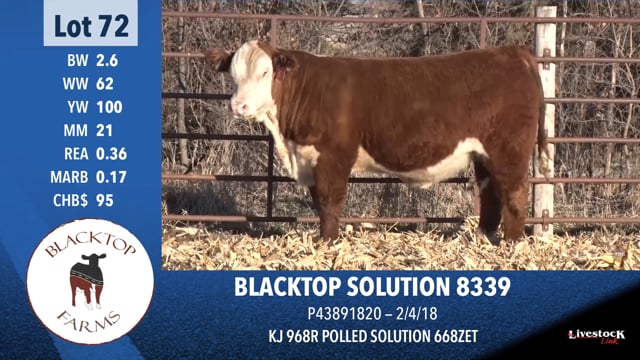 Lot #72 - BLACKTOP SOLUTION 8339