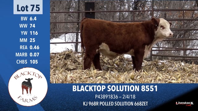 Lot #75 - BLACKTOP SOLUTION 8551