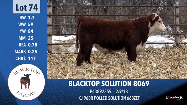 Lot #74 - BLACKTOP SOLUTION 8069