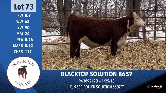 Lot #73 - BLACKTOP SOLUTION 8657