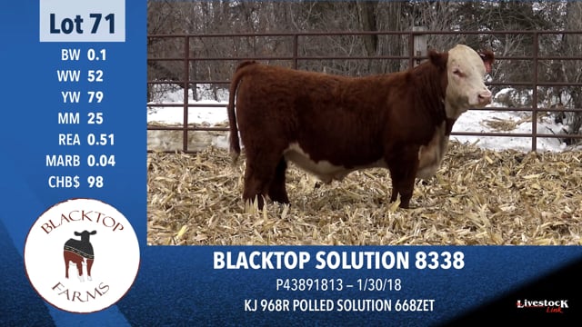 Lot #71 - BLACKTOP SOLUTION 8338