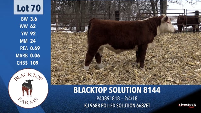 Lot #70 - BLACKTOP SOLUTION 8144