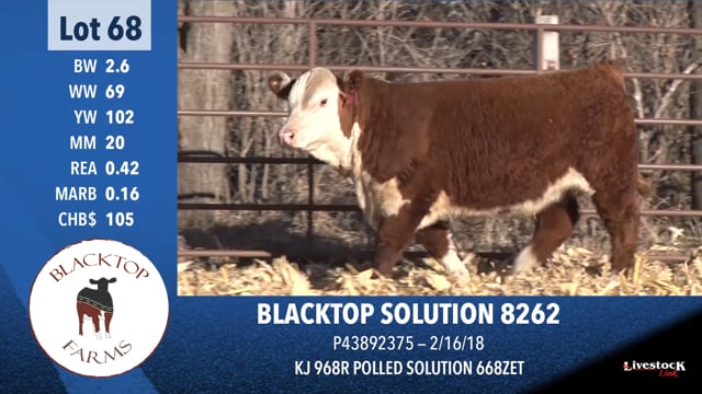 Lot #68 - BLACKTOP SOLUTION 8262