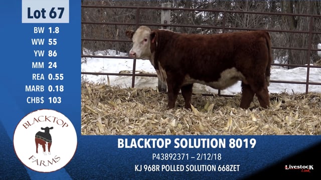 Lot #67 - BLACKTOP SOLUTION 8019