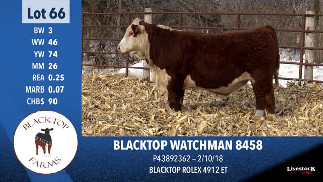 Lot #66 - BLACKTOP WATCHMAN 8458