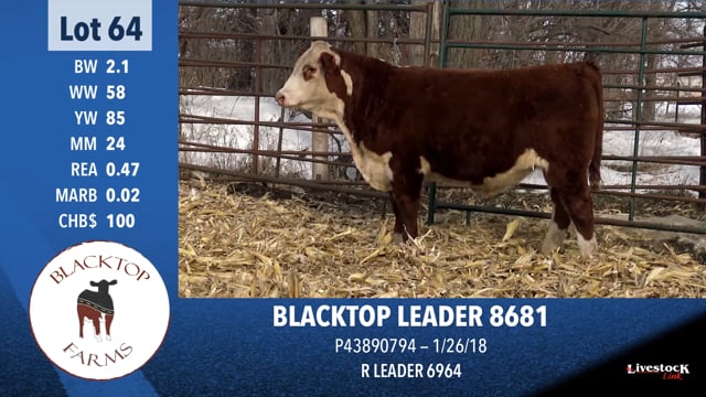 Lot #64 - BLACKTOP LEADER 8681