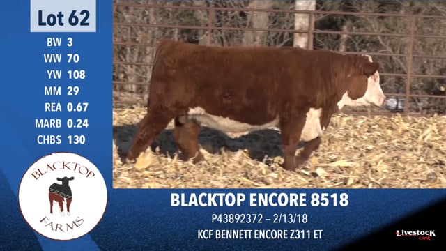Lot #62 - BLACKTOP ENCORE 8518