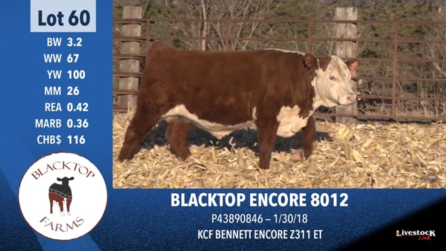 Lot #60 - BLACKTOP ENCORE 8012