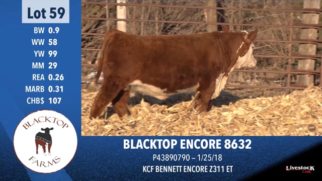 Lot #59 - BLACKTOP ENCORE 8632