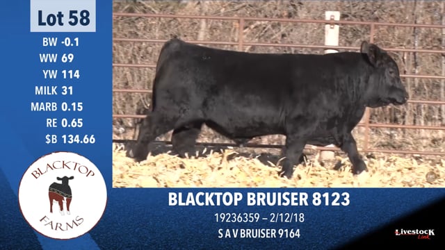 Lot #58 - BLACKTOP BRUISER 8123