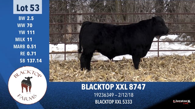 Lot #53 - BLACKTOP XXL 8747