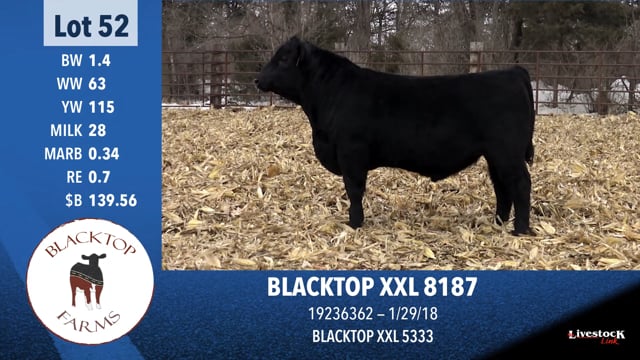 Lot #52 - BLACKTOP XXL 8187