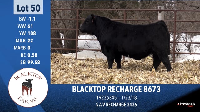 Lot #50 - BLACKTOP RECHARGE 8673