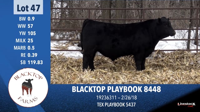 Lot #47 - BLACKTOP PLAYBOOK 8448